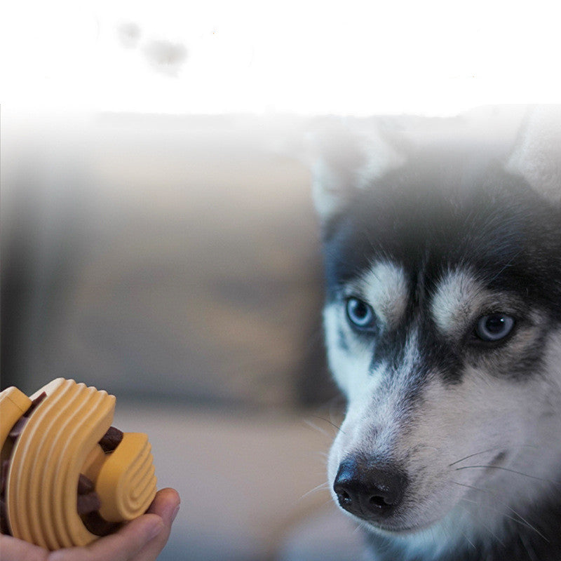 Pet Dog Toy Ball Bite-Resistant Teeth Cleaning