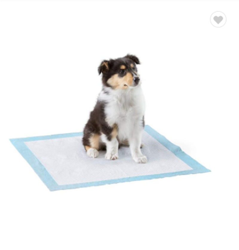 Absorbent Pads for Pet Dog Diapers