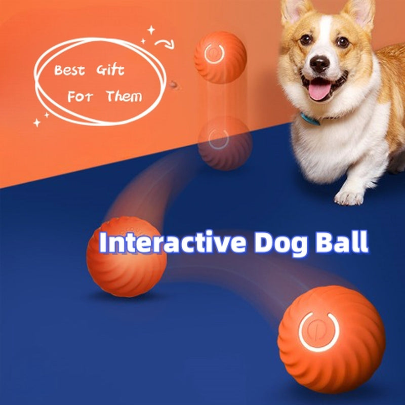 Pet Dog Rubber Ball Toys for Dogs Resistance to Bite Dog Chew Toys Puppy Pets Dogs Training Products