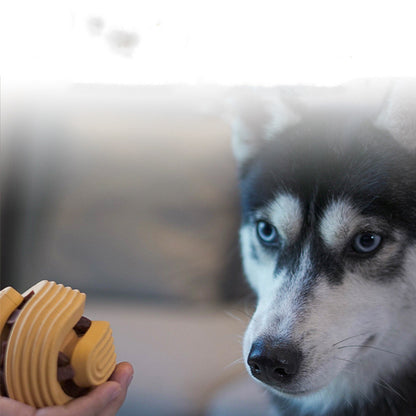 Pet Dog Toy Ball Bite-Resistant Teeth Cleaning