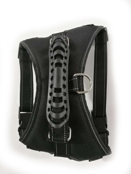 Dog Leashes for Pet Leashes