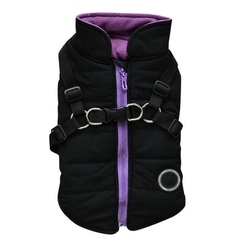 Dog Zipper Jacket