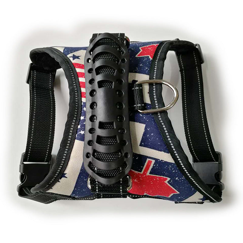 Dog Leashes for Pet Leashes