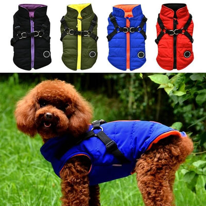 Dog Zipper Jacket