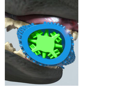 TV New Product Dog Tooth Brush