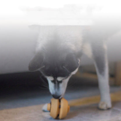 Pet Dog Toy Ball Bite-Resistant Teeth Cleaning